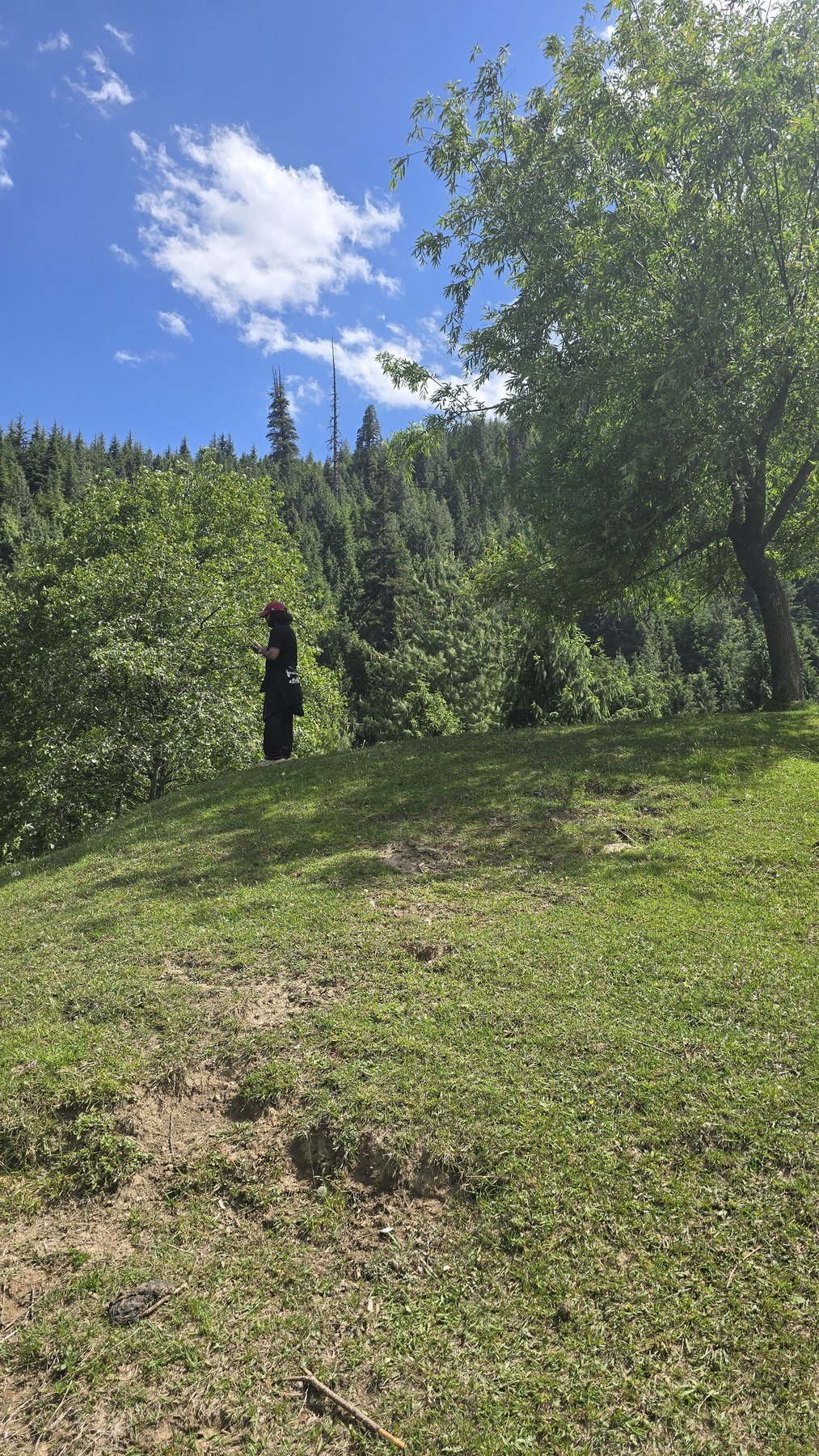 Traveller crossing the meadow near Majach