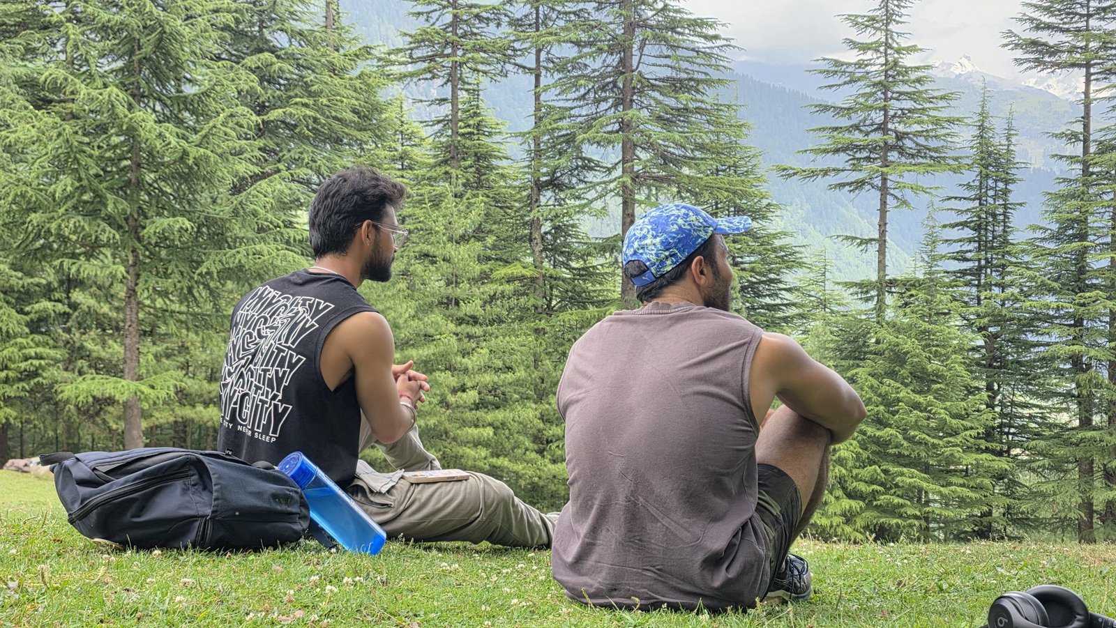 Walkers sitting among tall cedar trees